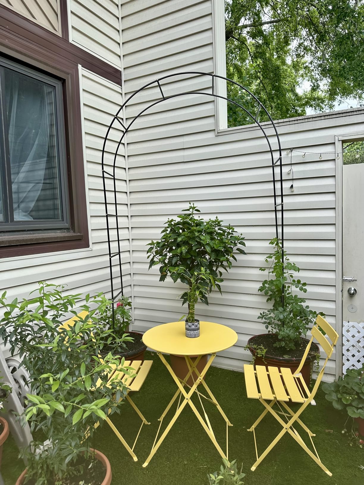 Thorise 7.9 Ft H x 4.6 Ft W Metal Pergola Arbor, Assemble Freely 2 Sizes, for Various Climbing Plant Wedding Garden Arch Bridal Party Decoration Wide Arbor, 1 Pack customer photo 2