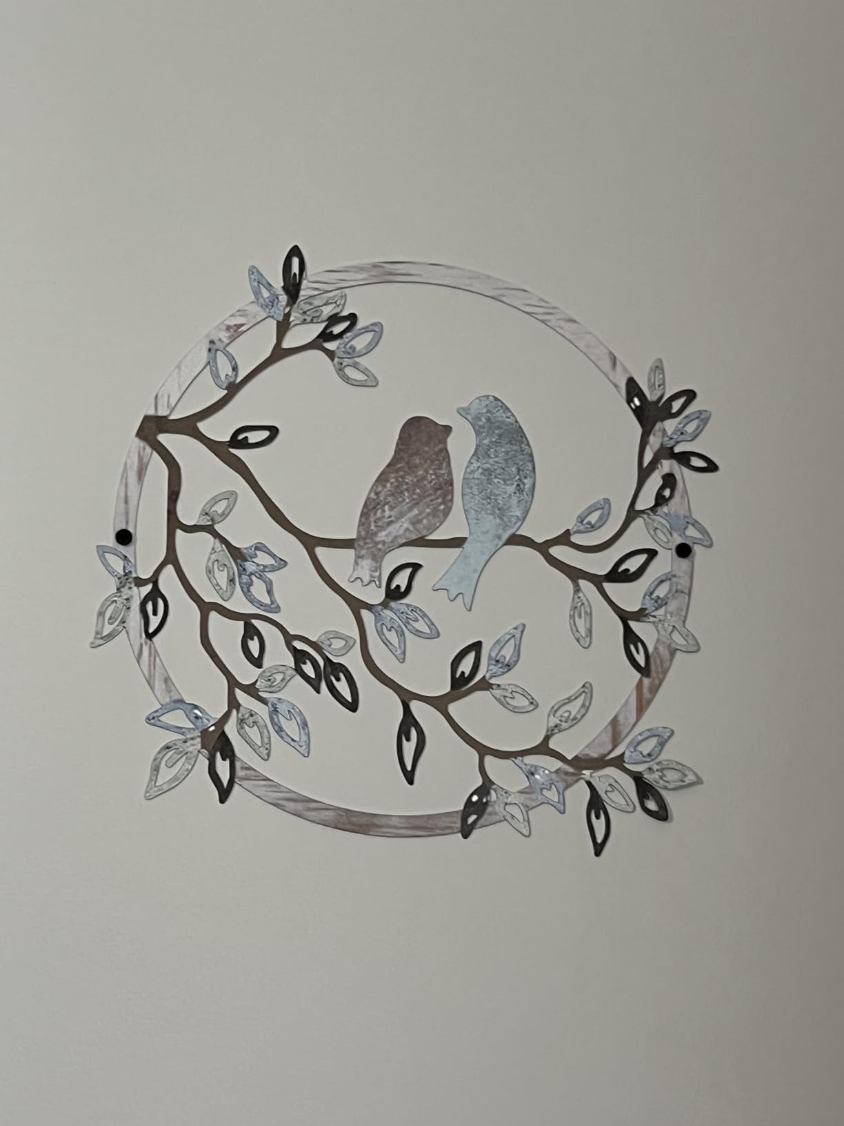 Ferraycle Metal Wall Art Bird on Tree Branch Silhouette Bird Hanging Ornament Porch Wall Decor for Living Room Outdoor Garden Bedroom Office Housewarming Party Decoration (Fresh Color) customer photo 1