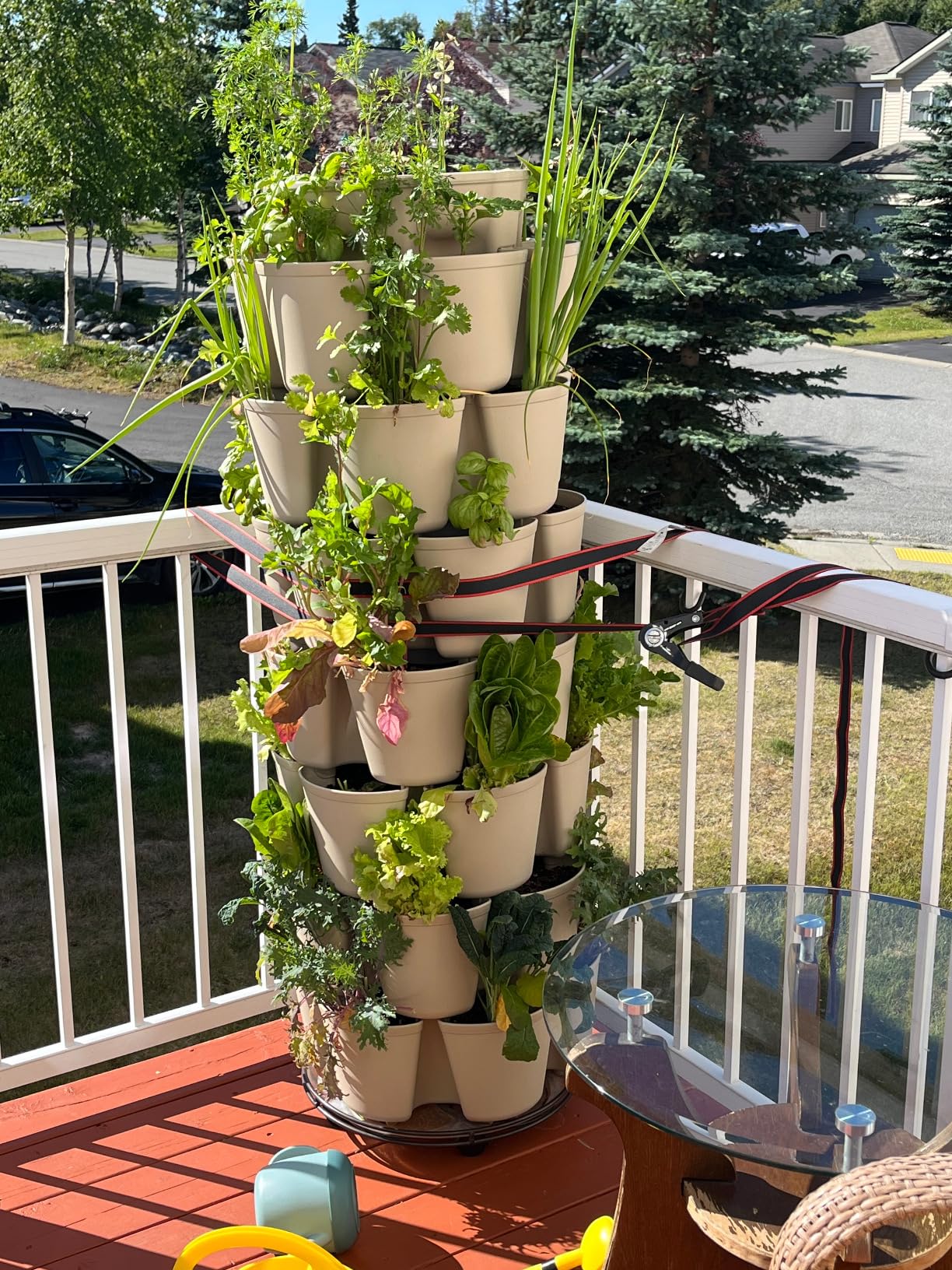 Greenstalk 7 Tier Leaf Vertical Planter for Growing a Variety of Strawberries, Vegetables, Herbs, & Flowers (Evergreen) customer photo 1