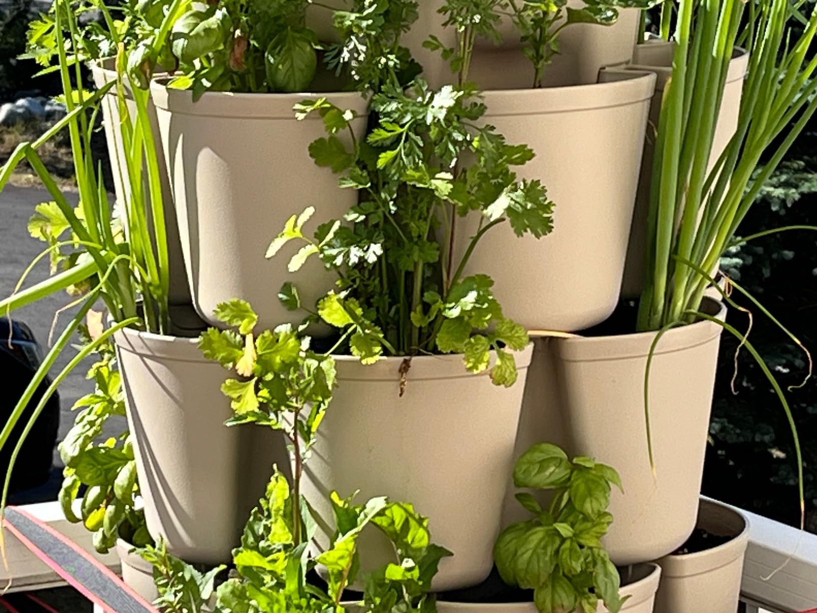Greenstalk 7 Tier Leaf Vertical Planter for Growing a Variety of Strawberries, Vegetables, Herbs, & Flowers (Evergreen) customer photo 2