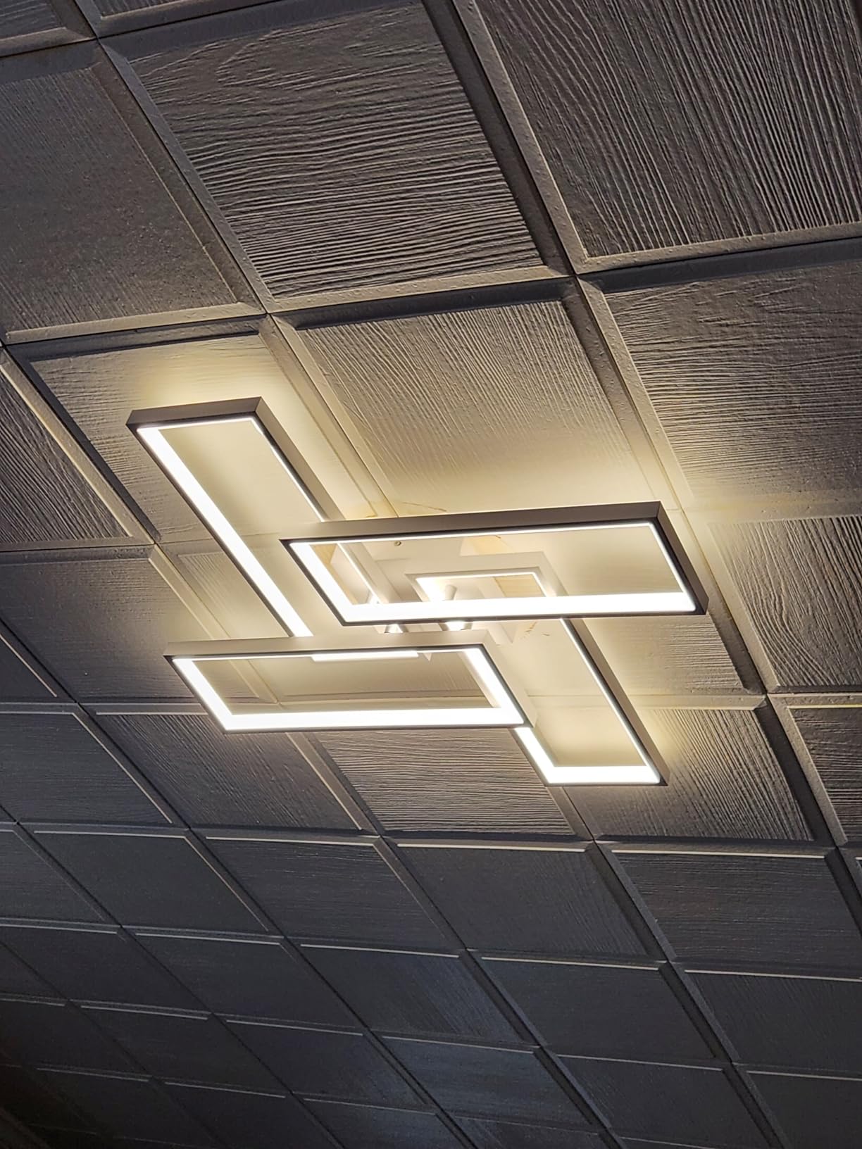 Shine LUEST Modern LED Ceiling Light, Dimmable LED Chandelier Black Flush Mount Ceiling Lights, Remote Control Acrylic Ring Ceiling Lamp Fixture for Living Room Dining Room Bedroom, 8H-FANG-BL-04 customer photo 1
