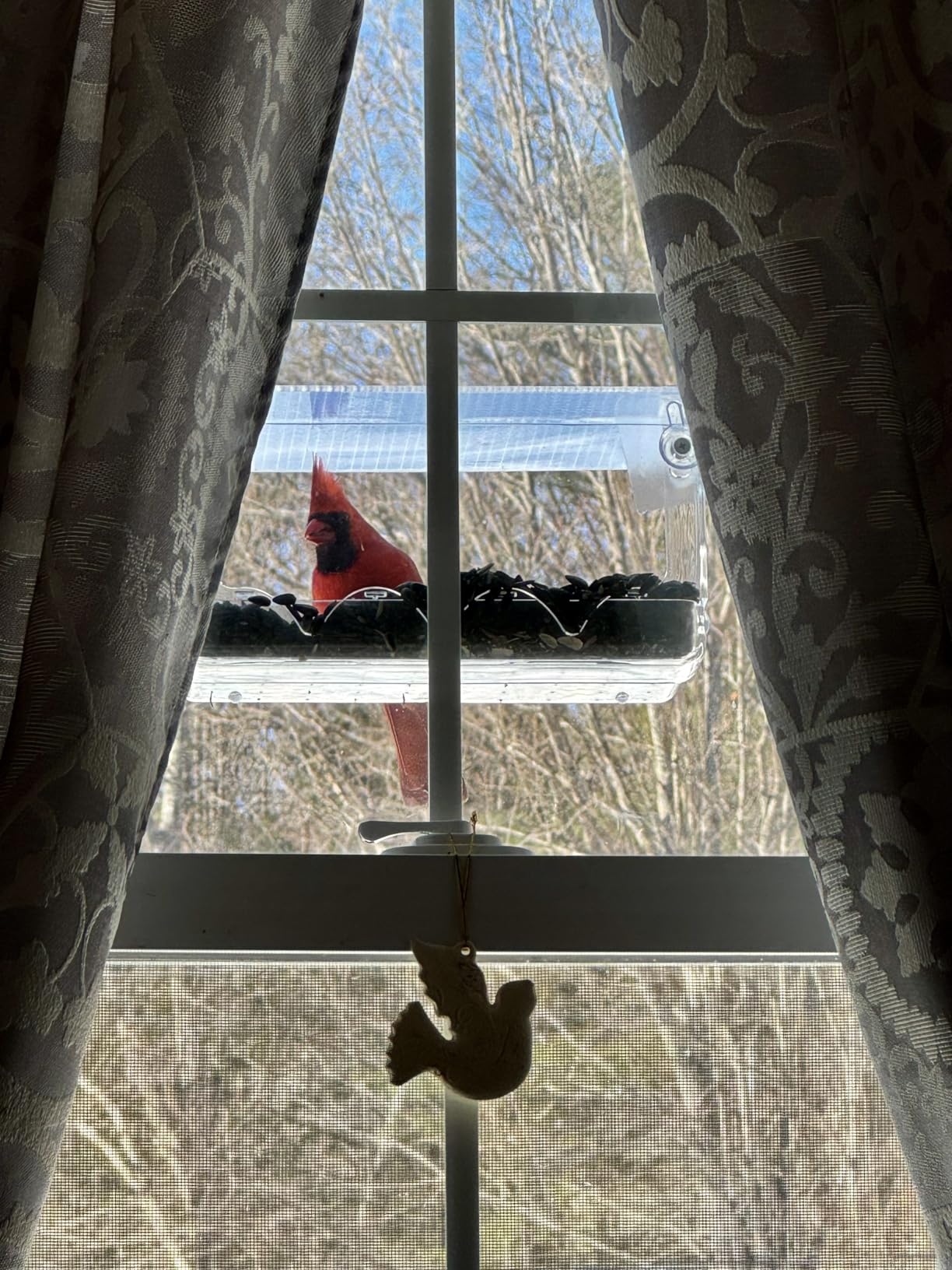 SUNALLY Window Bird Feeder for Outdoors, Clear Bird Feeders Window Mounted with Strong Suction Cups customer photo 1