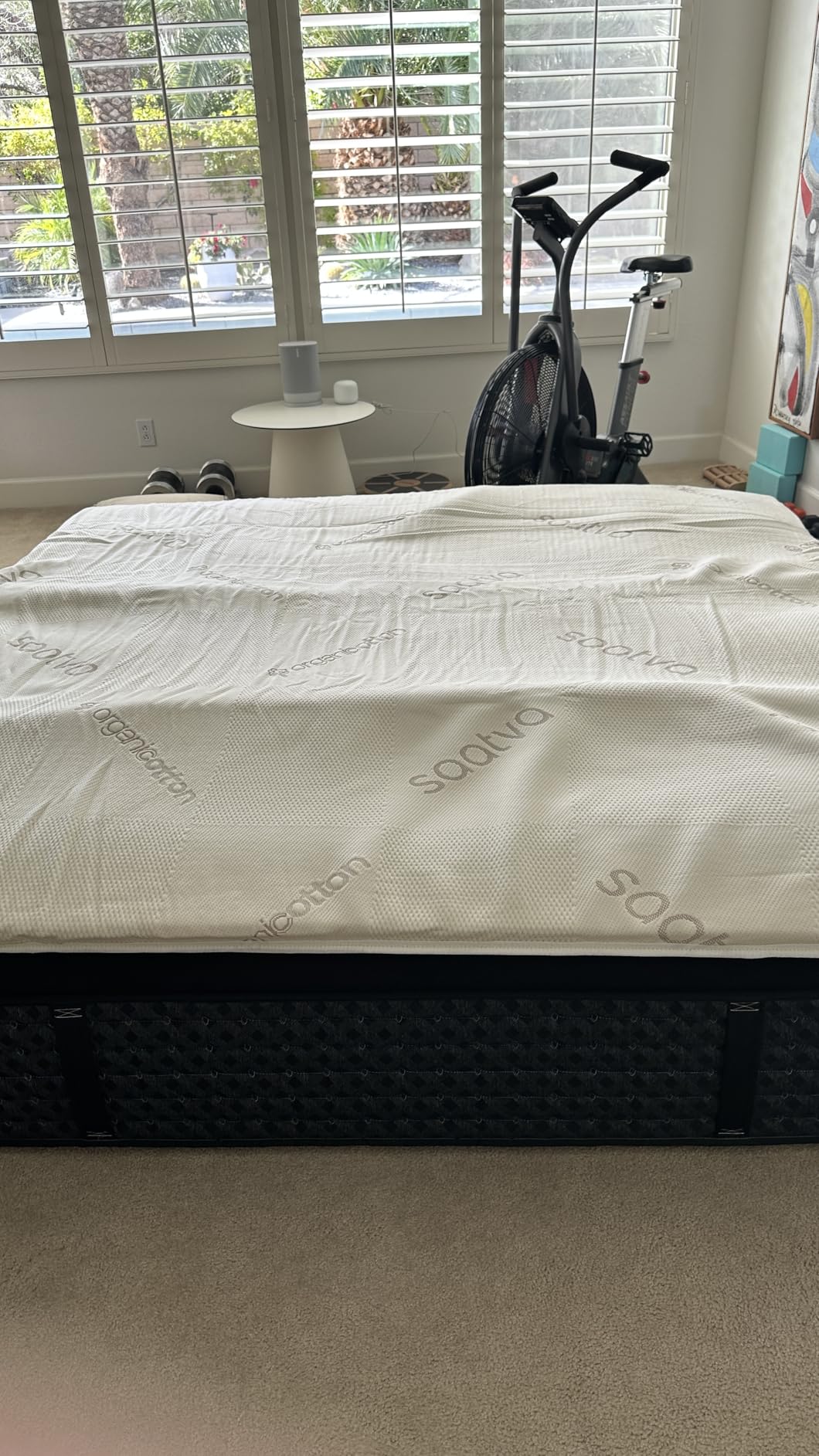Saatva Natural Latex Mattress Topper - 1.5 Inch Layer of Natural Latex Foam - Breathable Comfort & Durable, Responsive Support - King customer photo 1