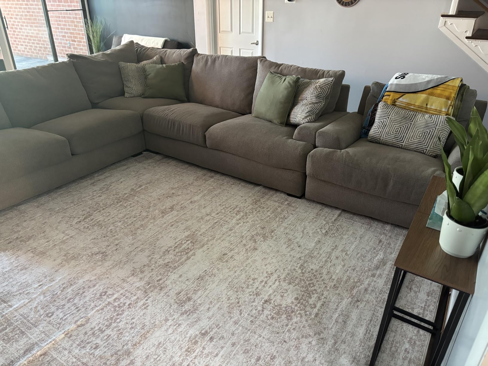 Soalmost Washable Area Rug 8x10, Large Soft Rugs for Living Room Vintage Beige Carpet 8x10 Area Rugs for Bedroom Dining Room Non-Slip Stain Resistant Under Table Rug customer photo 2