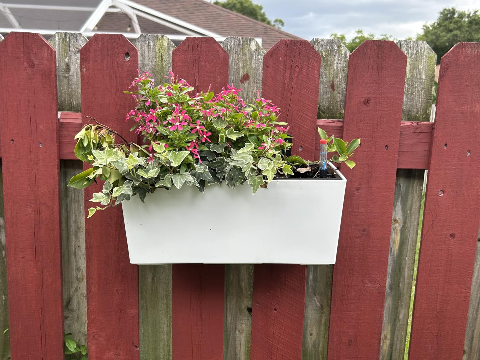 LaLaGreen Wall Planter for Outdoor (2 Pack, 14 Inch) Wall Mounted Self Watering System White Flower Box with Bracket, Window Wall Hanging Rectangular Plant Pot Container Indoor Modern Herb Kitchen customer photo 1