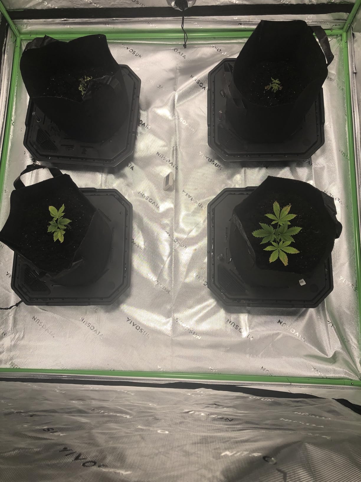 VIVOSUN 4-Pack FlexFeed Self-Watering Pots, Auto Irrigation Fabric Pot Base with Water Meter & Maintenance Window, for Use Indoors/Outdoors in Grow Tents, Greenhouses, Gardens customer photo 2