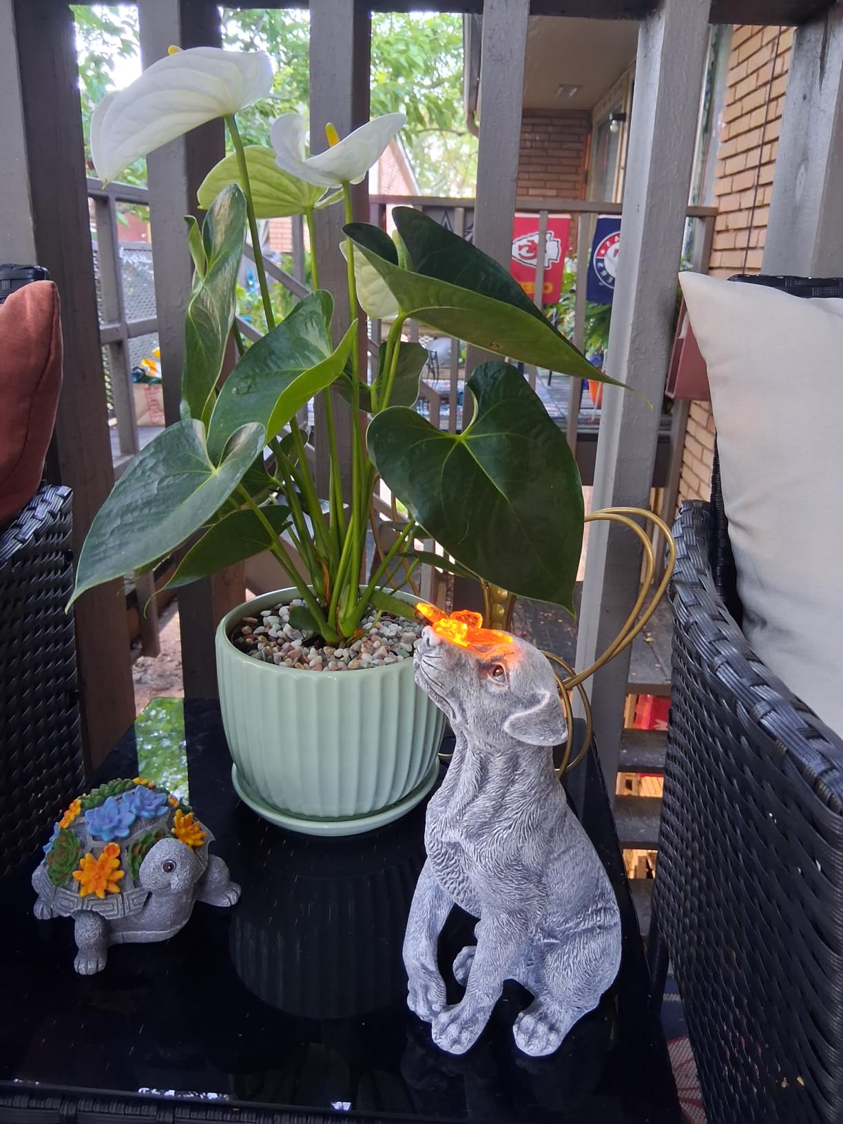 Goodeco Dog Statue with Solar Butterfly - Outdoor Decorations for Yard, Patio, Lawn customer photo 1
