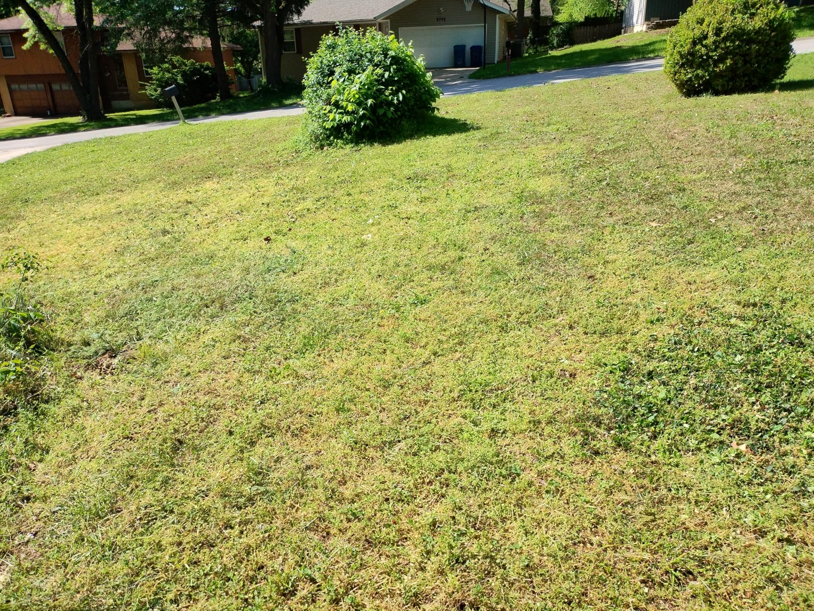 LawnMaster LMRM1401 Push Reel Lawn Mower 14-Inch 5-Blade customer photo 1