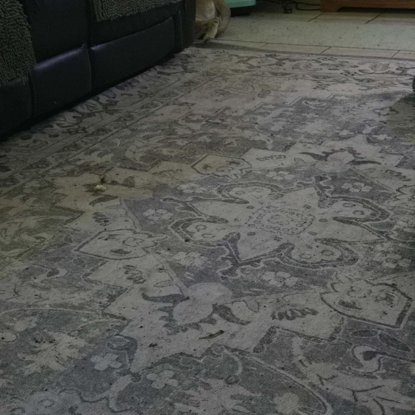 Lessymo 8 x 10 Area Rugs for Living Room - Machine Washable Area Rugs Boho Faux Wool Low Pile Area Rug for Bedroom, Floral Medallion Vintage Rugs with Non-Slip Rubber, Kid & Pet Friendly, Grey White customer photo 1