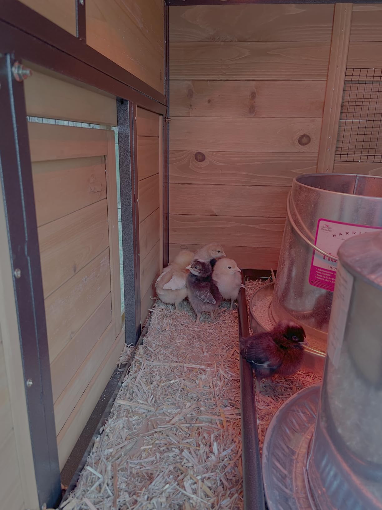 Mobile Chicken Coop with Wheels for 4-6 Chickens, Large Outdoor Hen House with Run, Weatherproof Asphalt Roof, Sectionable Nesting Box & Pull-Out Tray, 82.4