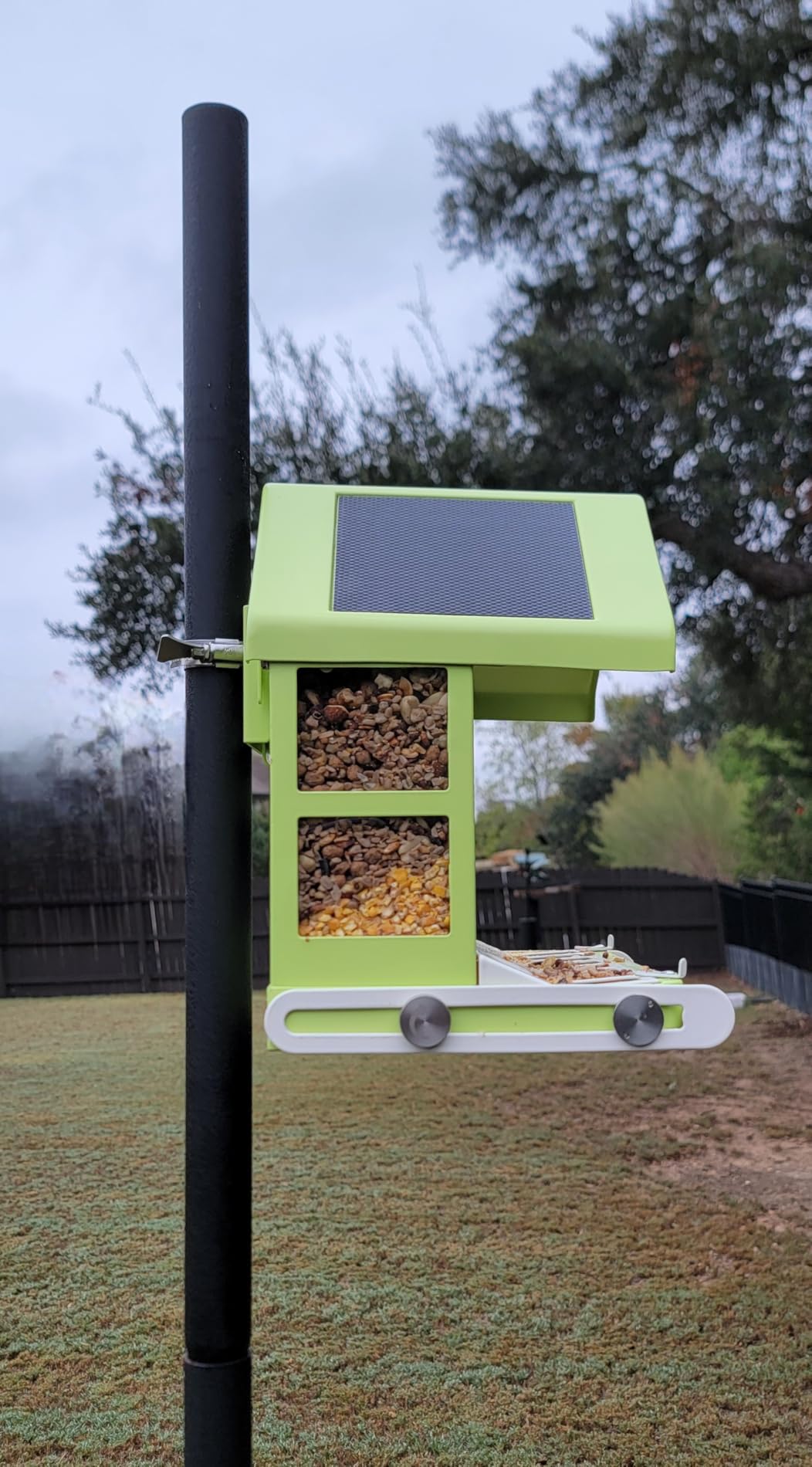 Birdfy Smart Bird Feeder with Camera, Durable Metal Feeders for Outdoors, Auto-Identify & Record Video, Instant Alert, Live Bird Watching Camera Solar, Gifts for Backyard Birder (AI Lifetime Free) customer photo 1