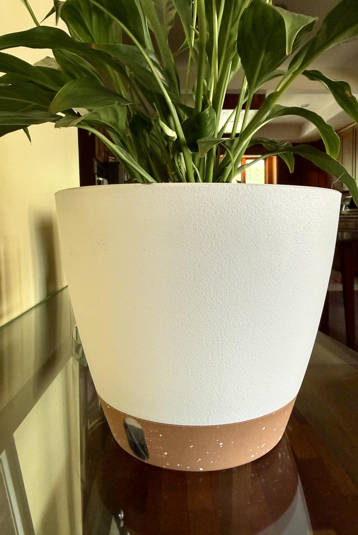 8/10/12 Inch Self Watering Pots for Indoor/Outdoor Plants - Large Plastic Planter with Drainage Holes, Water Level Indicator & Deep Reservoir, Modern Decorative Flower Pots (White) customer photo 1