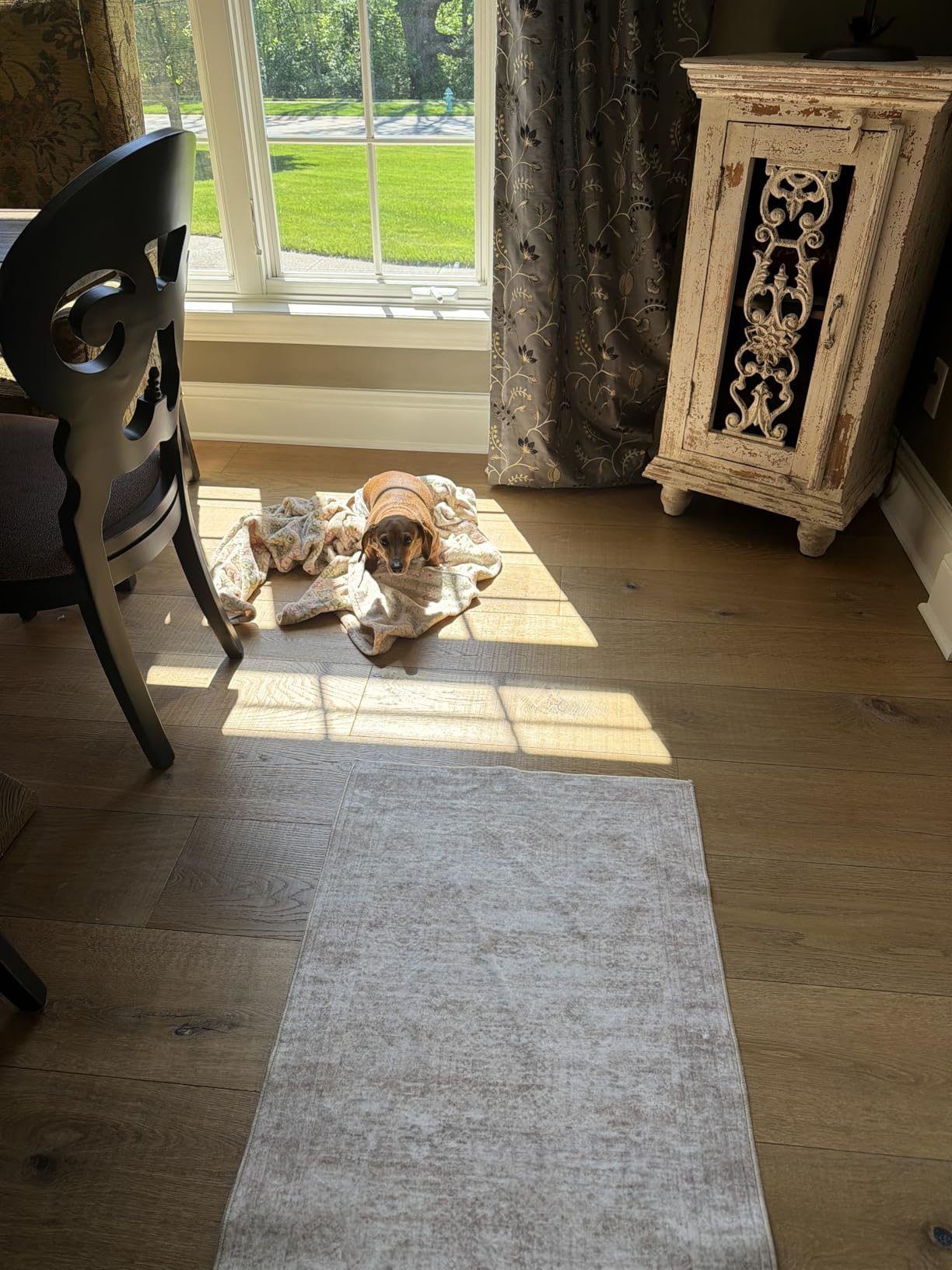 Rug Runners for Hallways Non Slip - 2x8 Runner Rug for Bedroom, Washable Runner with Rubber Backing, Soft Low-Pile Carpet for Kitchen, Laundry, Bathroom (2'x8', Beige/Ivory) customer photo 1