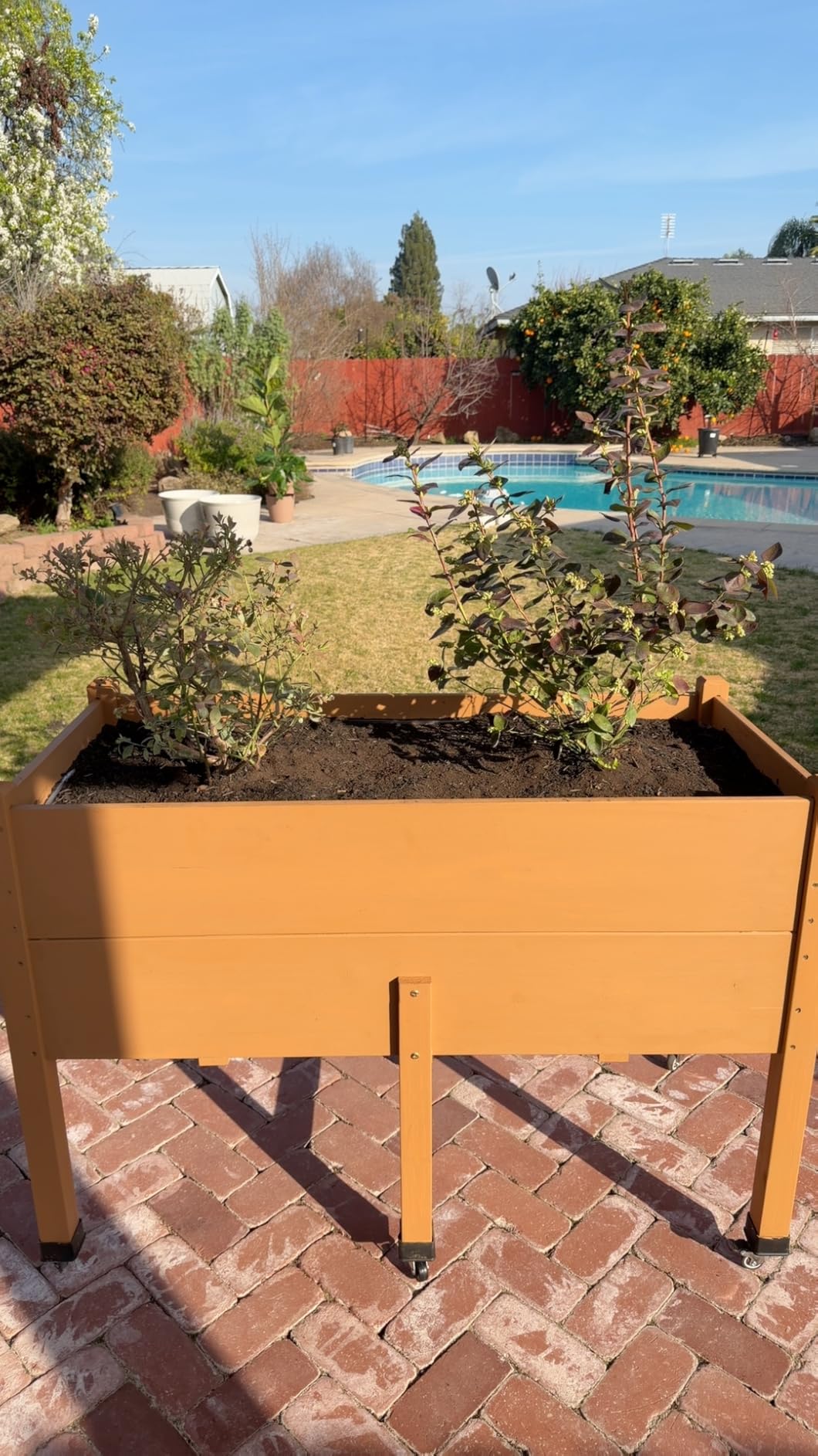 AMERLIFE 7x2 Ft Raised Garden Bed, 16 Inch Depth Featuring Legs, Drainage Holes, Ideal for Deep Rooted Vegetables, Flowers, Herbs, Elevated Wood Planter Box for Balcony, Patio, Backyard, Easy Assembly customer photo 2
