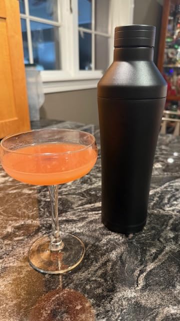BARE BARREL Insulated Cocktail Shaker Set | Double Wall Stainless Steel | Martini Shaker for Home Bar Bartending | Built-in Drink Measure System & Strainer, Travel Bag, Recipes | Gift Set (Copper) customer photo 2
