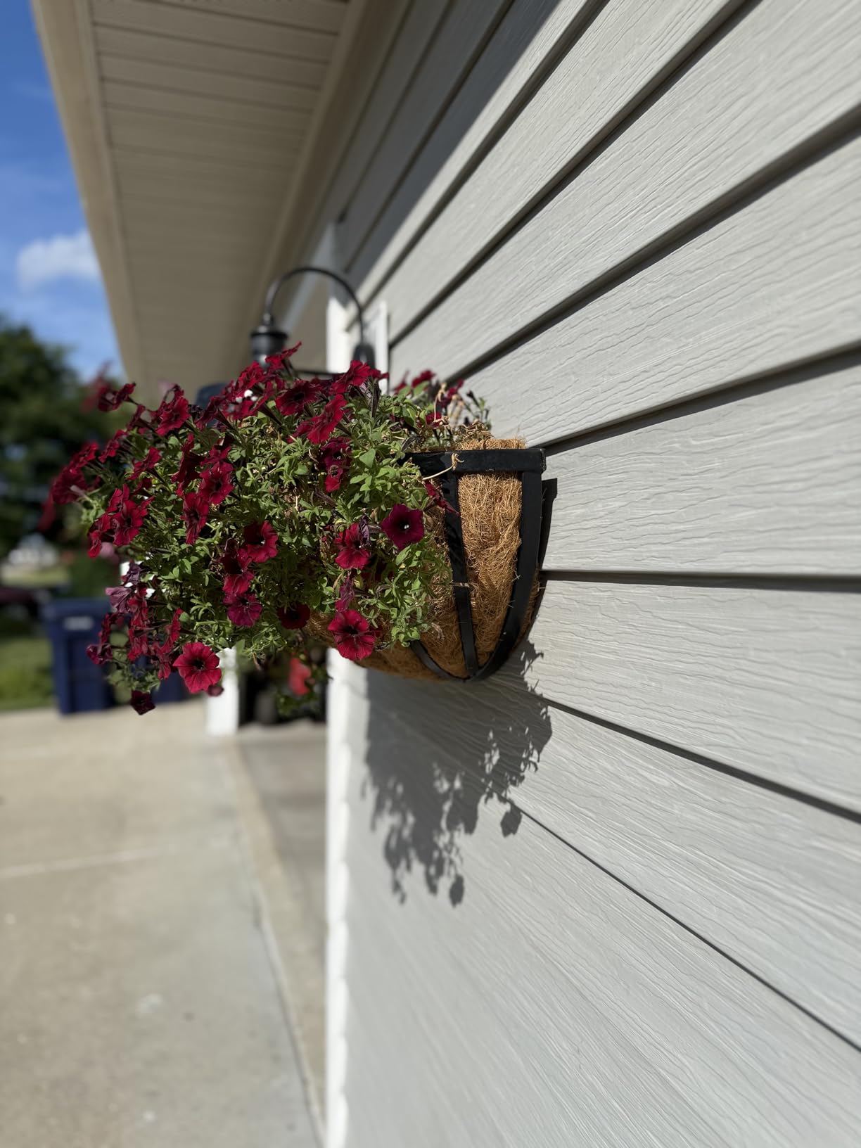 Arcadia Garden Products 1527 Half Round Wall Mounted Hanging Planter Basket with Coco Liner 16