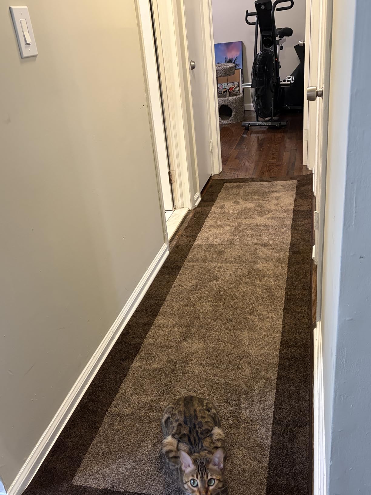 Machine Washable Kitchen Rug 24