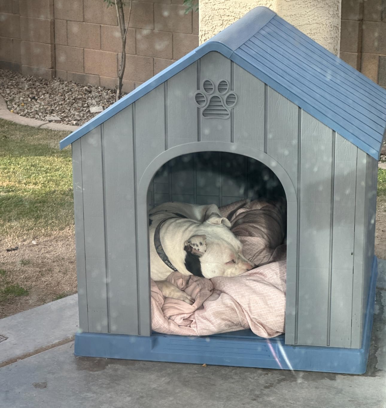 DRATO Large Dog House Indoor Outdoor Waterproof, Puppy Shelter with Air Vents and Elevated Floor, Sturdy Dog Kennel for Small to Large Sized Dogs, Easy to Assemble (Blue, 38.62x36.26x38.07 Inches) customer photo 2