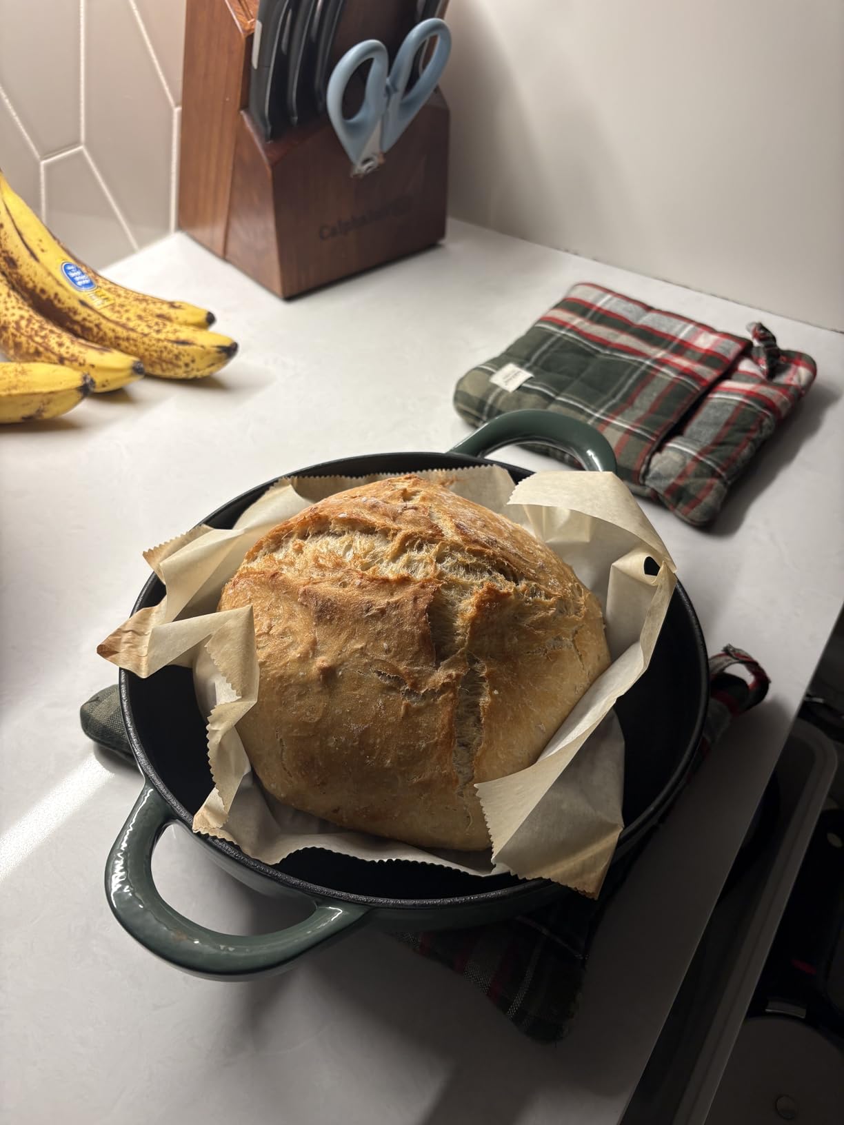 Bread Dutch Oven for Sourdough Baking (5.5 QT), Joyfair Enameled Cast Iron Dutch Oven Pot with Lid, Sourdough Bread Pan with Dual Handles, Non-Stick & Even Heat, Oven-safe up to 500°F, Pistachio Green customer photo 1