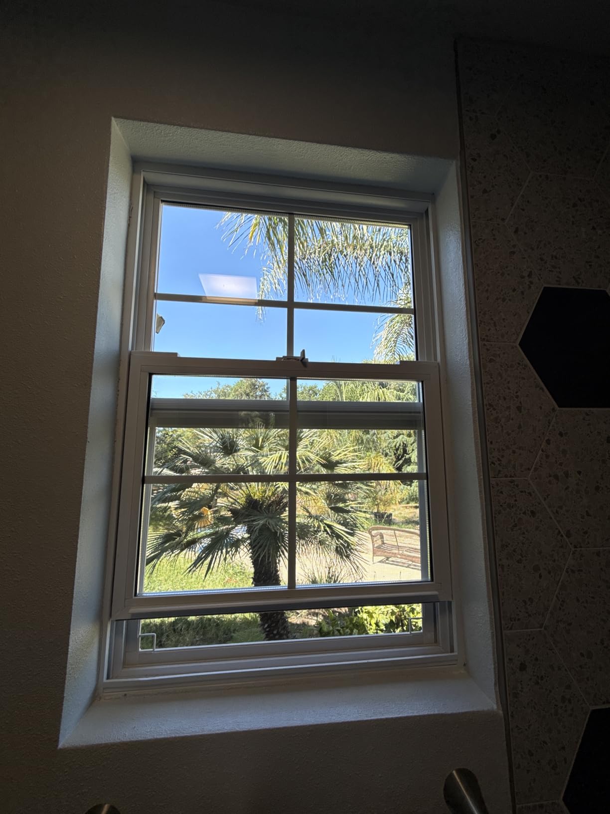 Vinyl Single Hung Window, 24