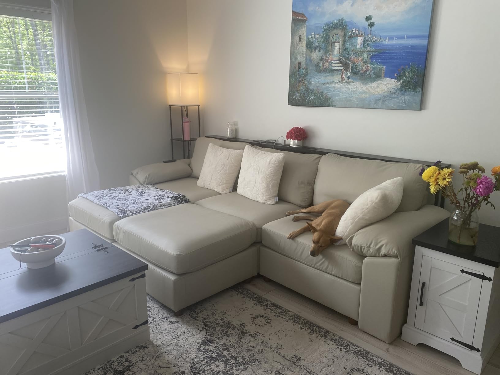 EASE MOOSE Leather Sectional Couch, Oversized Modular Sectional Sofa, Wide Deep Seat Modular Couch, Scratch Resistant Faux Leather Material, L Shaped Sofas for Living Room, Beige customer photo 1
