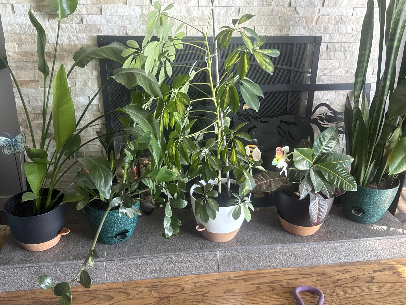 4-Pack Large Self Watering Pots for Indoor Plants, 12/10/9/8 Inch Planters with Visible Water Level Window, Automatic Watering System for Monstera, Fiddle Leaf, Herbs, Succulents, White customer photo 1