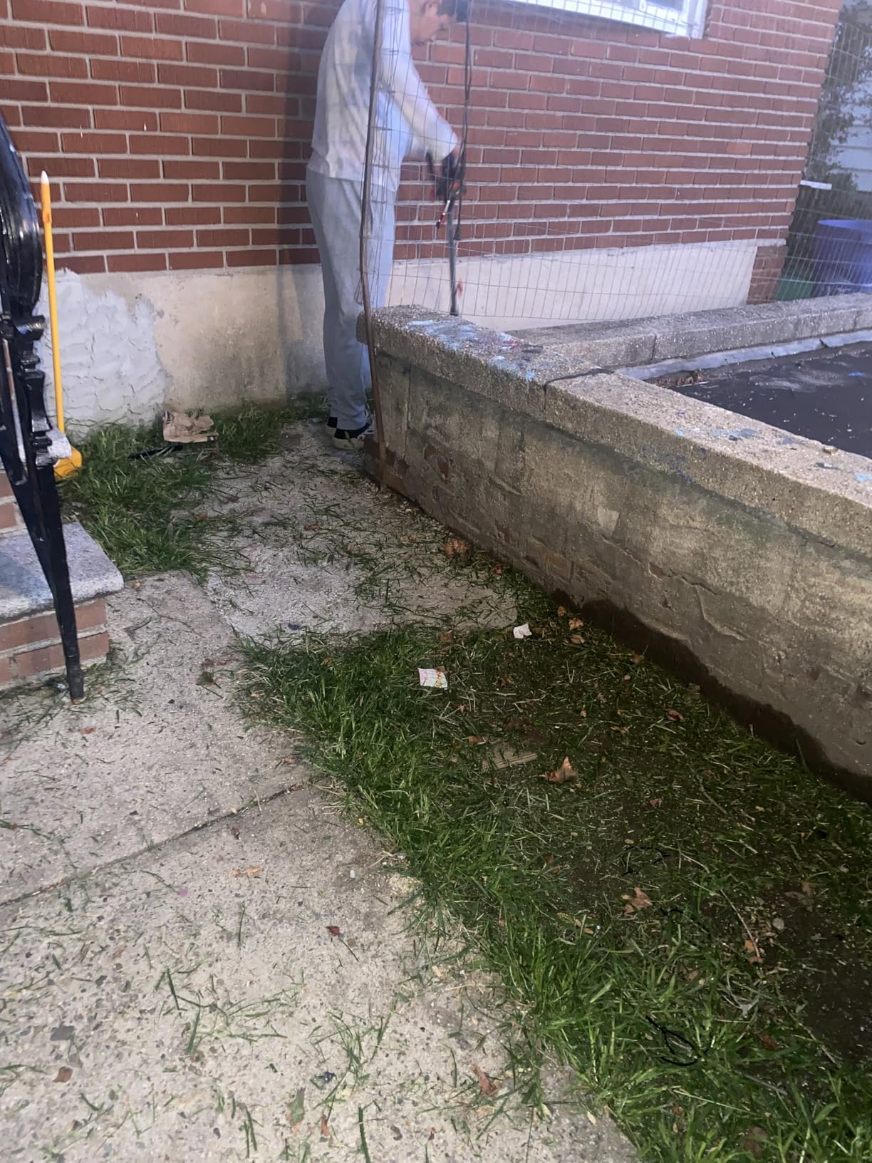 MZK 20V 12'' Cordless String Trimmer, Grass Trimmer&Edger with 8 Replacement Spools, Battery Powered Weed Trimmer with Auto Line Feed for Garden, Lawn(2 * 2AH Battery and Charger Included),ST12D07 customer photo 2