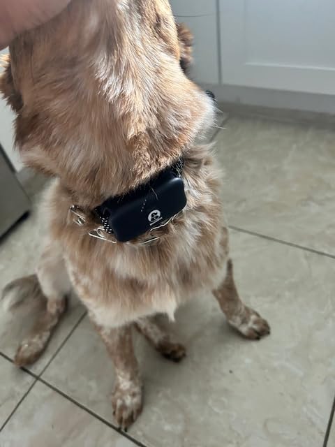 MIMOFPET Wireless Dog Fence System for 2 Dogs - Up to 3500ft Adjustable Electric Fence, Waterproof Training Collar Rechargeable, Pet Containment System for Large Medium Dogs customer photo 1
