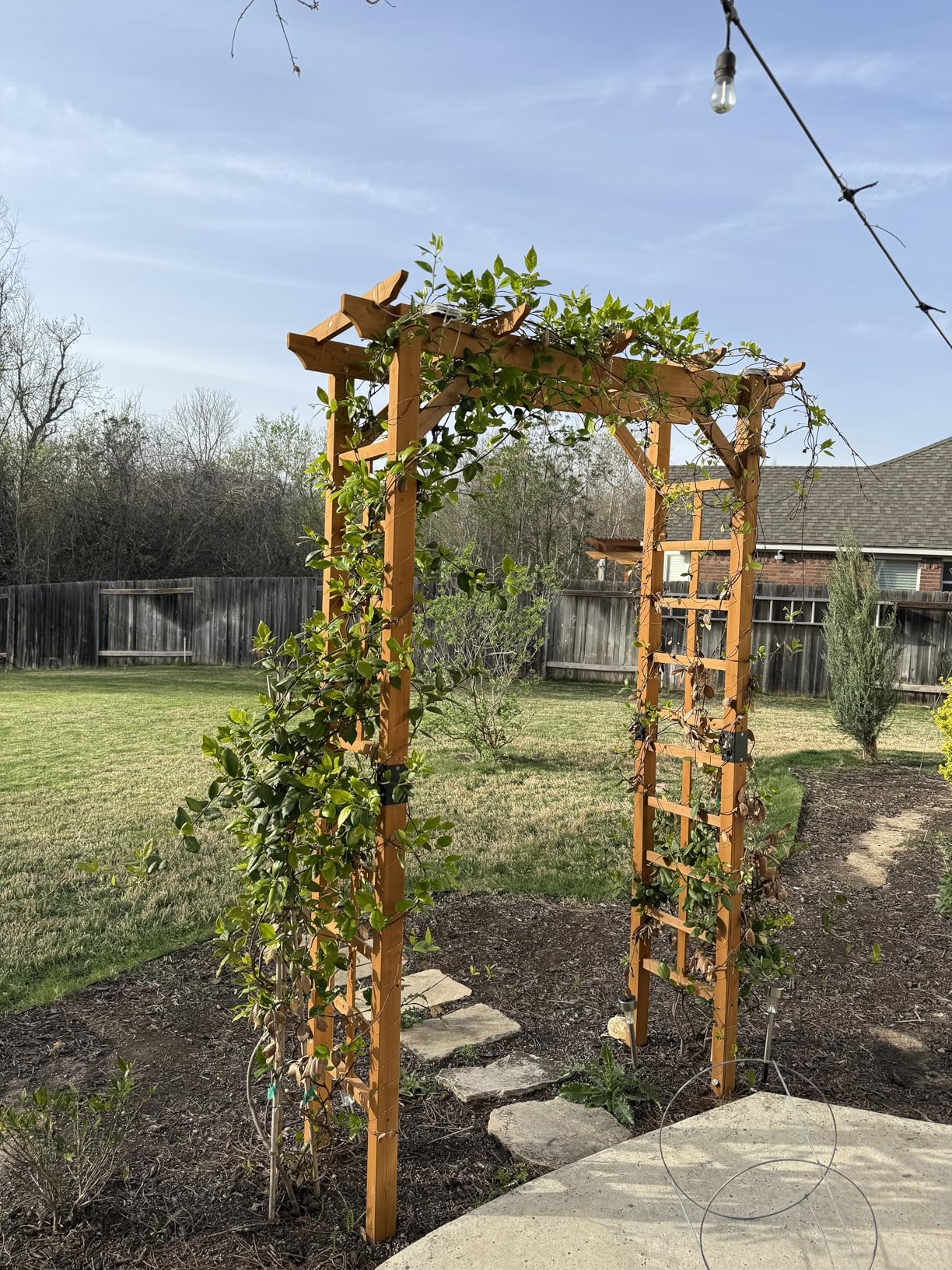 Giantex 7.5FT Wood Garden Arbor Trellis, Wooden Wedding Arch for Ceremony Party, Outdoor Archway Pergola for Climbing Plants, Pathway, Yard, Garden Decor, Easy Assembly (Dark Brown, 63''W x 90''H) customer photo 2
