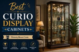 Best Curio Display Cabinets