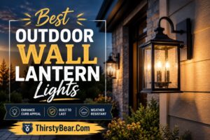 Best Outdoor Wall Lantern Lights