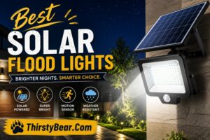 Best Solar Flood Lights