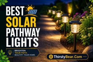 Best Solar Pathway Lights