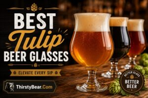 Best Tulip Beer Glasses