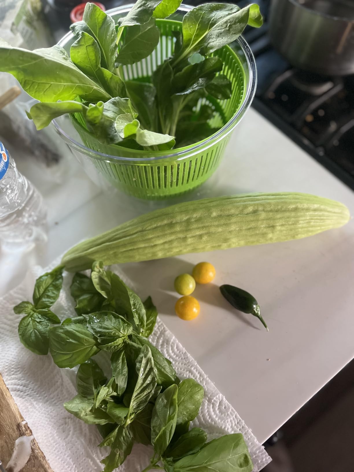Cuisinart Salad Spinner- Wash, Spin & Dry Salad Greens, Fruits & Vegetables, 3qt, CTG-00-SSAS customer photo 1