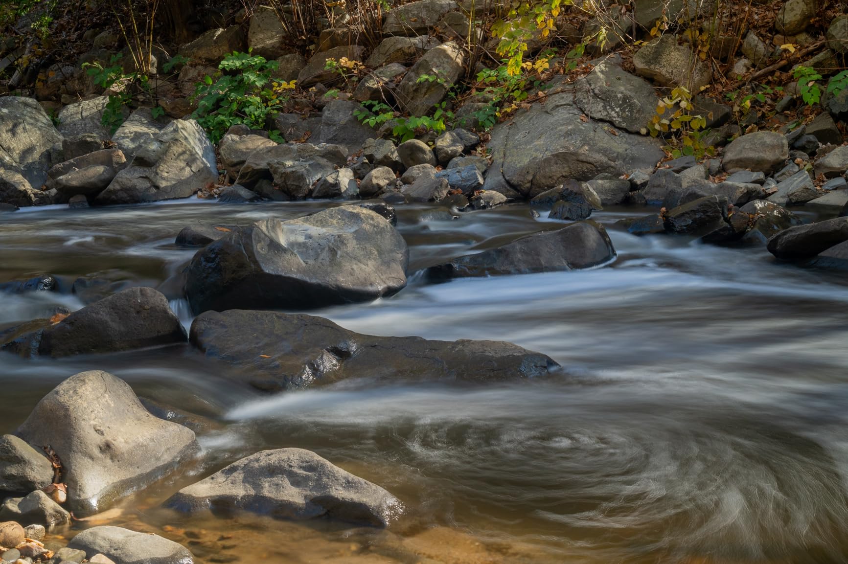 Nikon NIKKOR Z 24-70mm f/2.8 S | Professional large aperture mid-range zoom lens for Z series mirrorless cameras | Nikon USA Model customer photo 2