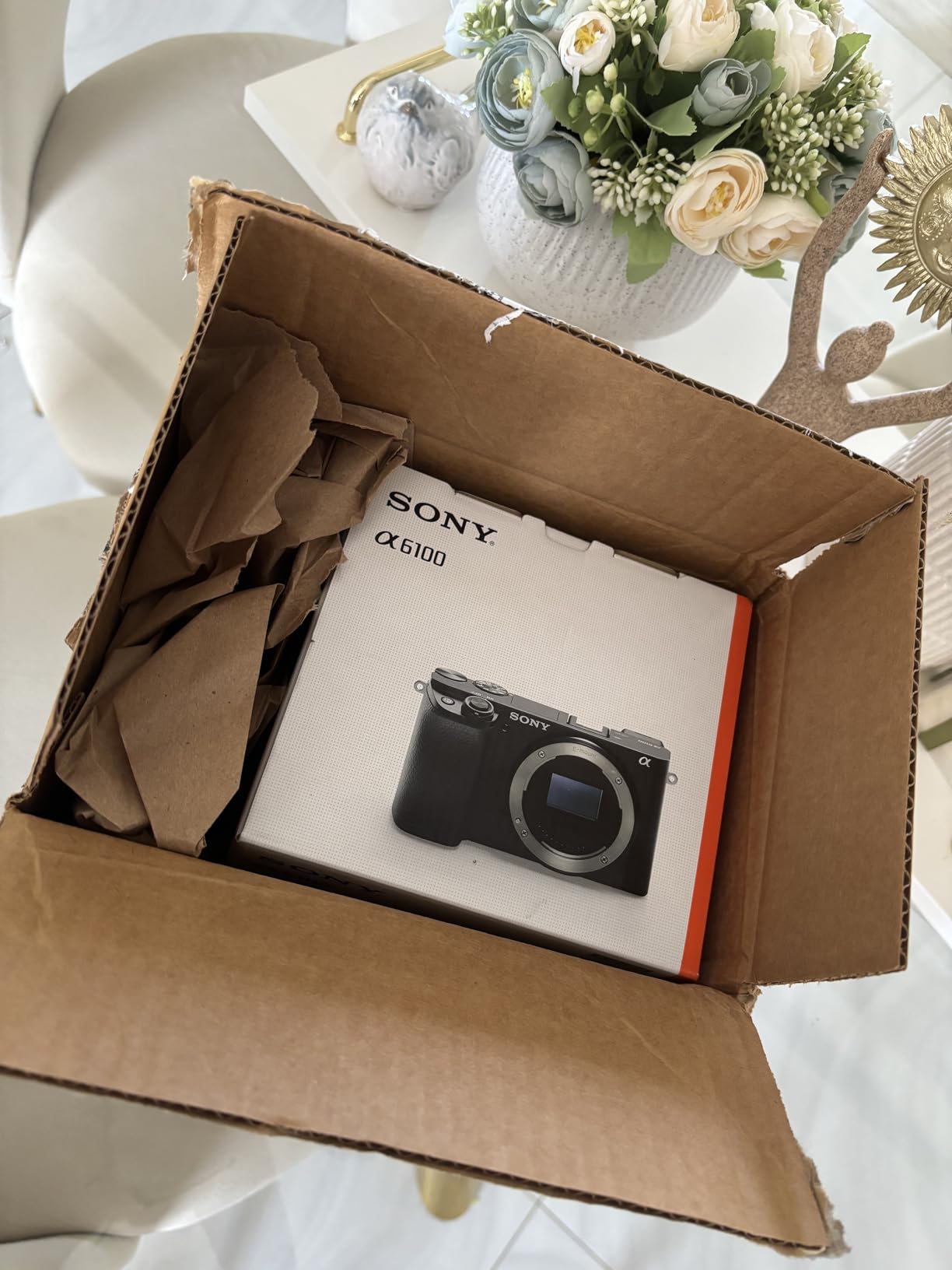 Sony Alpha A6100 Mirrorless Camera Body (APS-C, Black) customer photo 2
