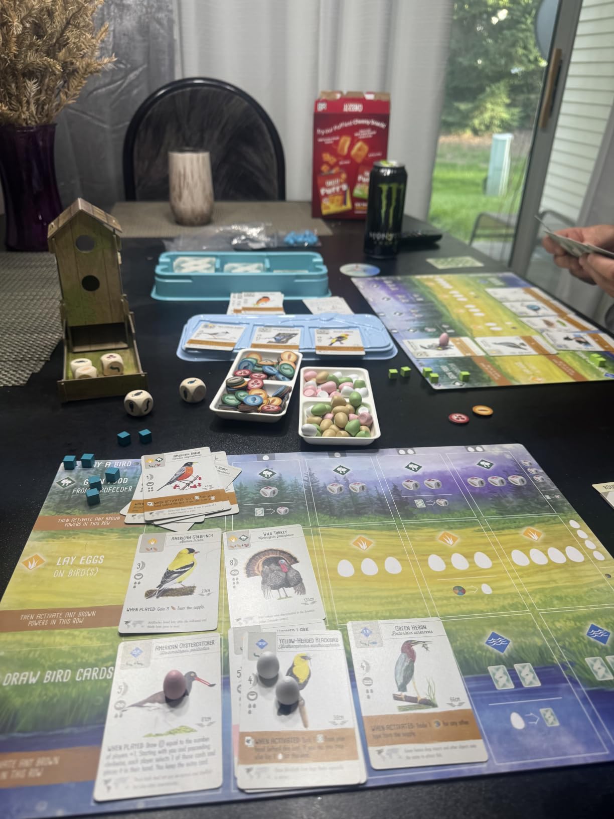 Stonemaier Games: Wingspan (Base Game) by Elizabeth Hargrave | A Relaxing, Award-Winning Strategy Board Game About Collecting Birds for Adults and Family | 1-5 Players, 70 Mins customer photo 2