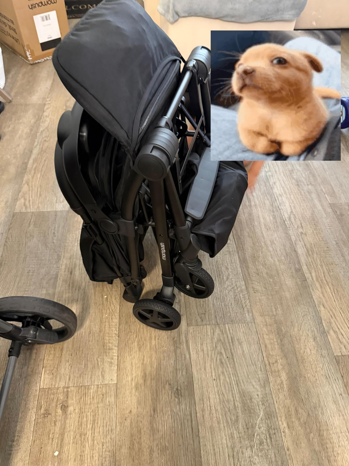 Mompush Lithe V2 Lightweight Travel Stroller, Compact Foldable Baby Stroller with Travel Bag, One-Hand Fold Stroller, Snack Tray, Mechanical Recline Seat customer photo 1