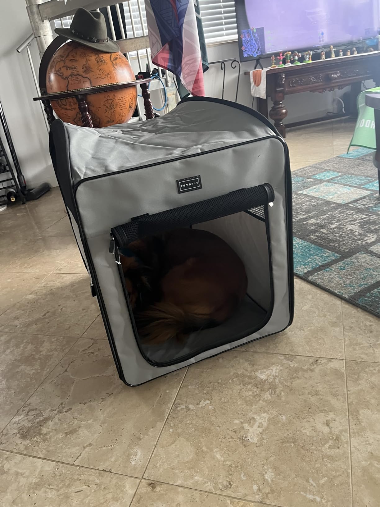 Petsfit Travel Dog Crate, Pop Up Dog Crate for Medium Large Dogs, Waterproof Pet Cage Soft Dog Kennel for Indoor/Outdoor, Lightweight Dog Carrier for Travelling, Grey customer photo 2