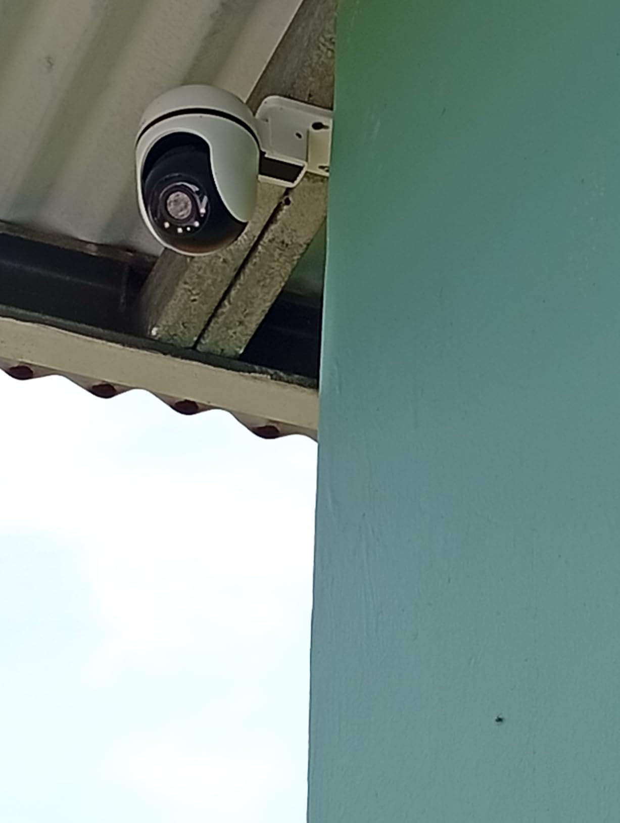 Tapo 1080P Outdoor Wired Pan/Tilt Security Wi-Fi Camera, 360 View, Motion Tracking, Works with Alexa & Google Home, Night Vision, Free AI Detection, Cloud & SD Card Storage(up to 512GB), Tapo C500 customer photo 1