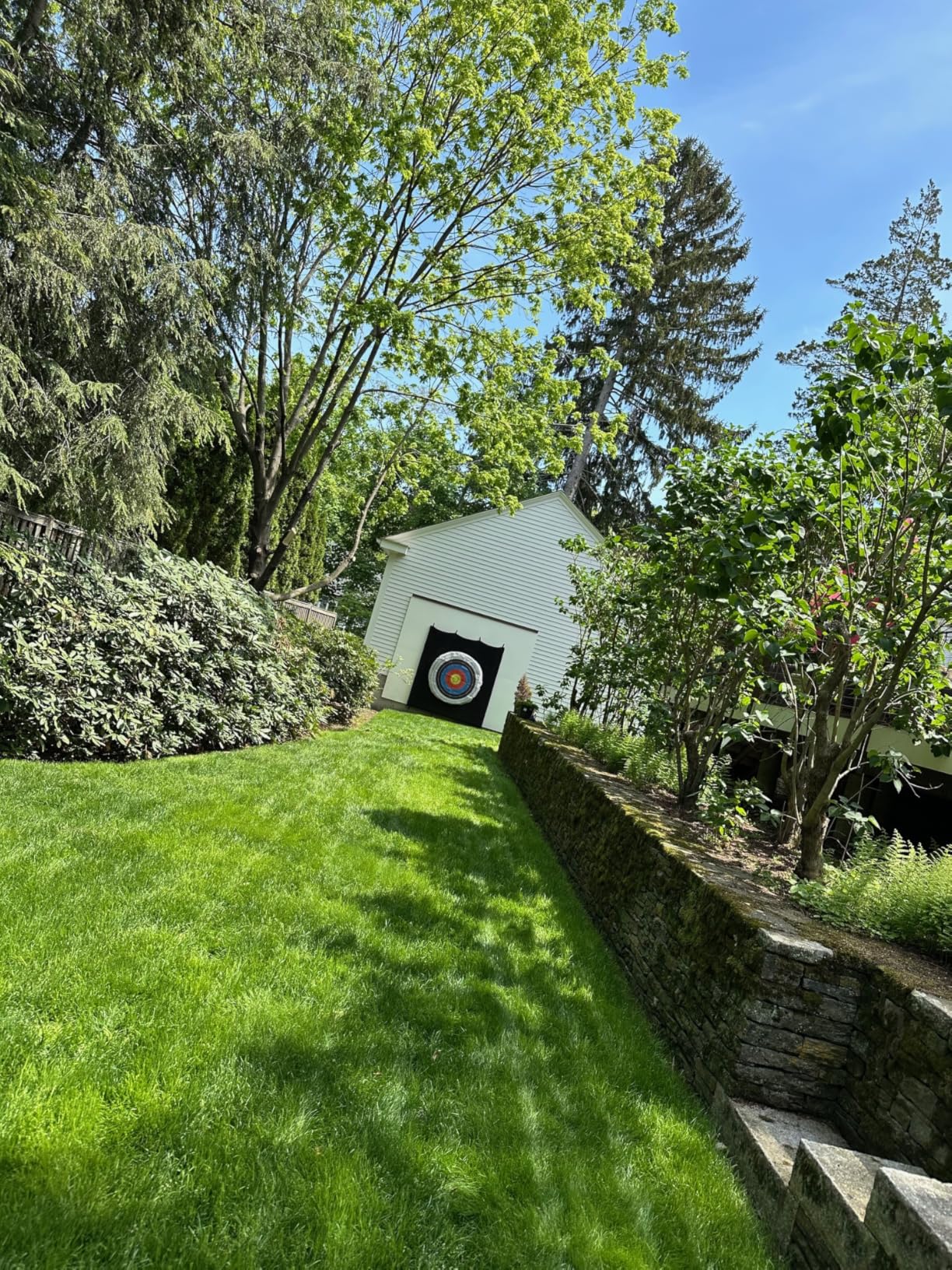 EGO Power+ LM2112 Electric Lawn Mower, Cordless Push, Includes 56V 4.0Ah Battery and Charger customer photo 2
