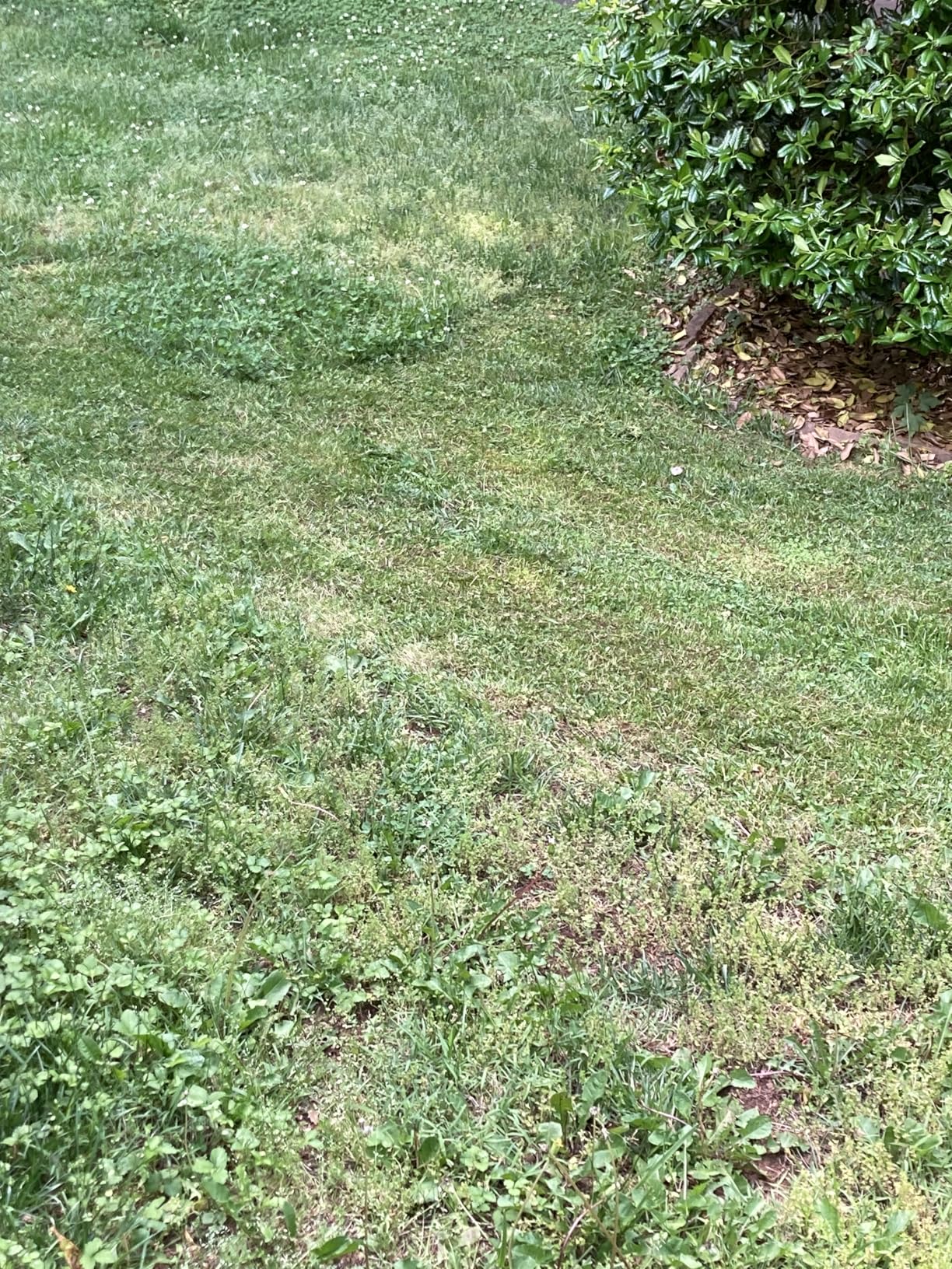 Greenworks 60V 17