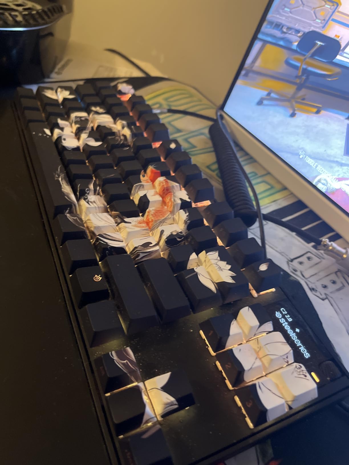 Apex Pro TKL Gen 3 OmniPoint 3.0 HyperMagnetic Switches - Adjustable Actuation - Rapid Trigger - Game-Ready Presets - Protection Mode - Rapid Tap/SOCD - OLED - RGB - PBT Keycaps - USB-C customer photo 2