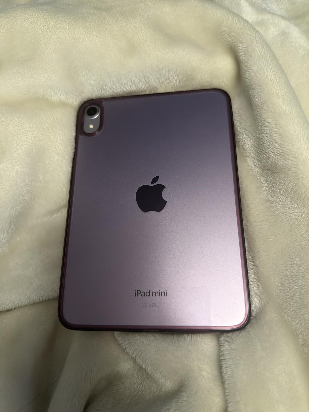 Apple iPad mini (A17 Pro): Apple Intelligence, 8.3-inch Liquid Retina Display, 128GB, Wi-Fi 6E, 12MP Front/12MP Back Camera, Touch ID, All-Day Battery Life - Blue customer photo 1