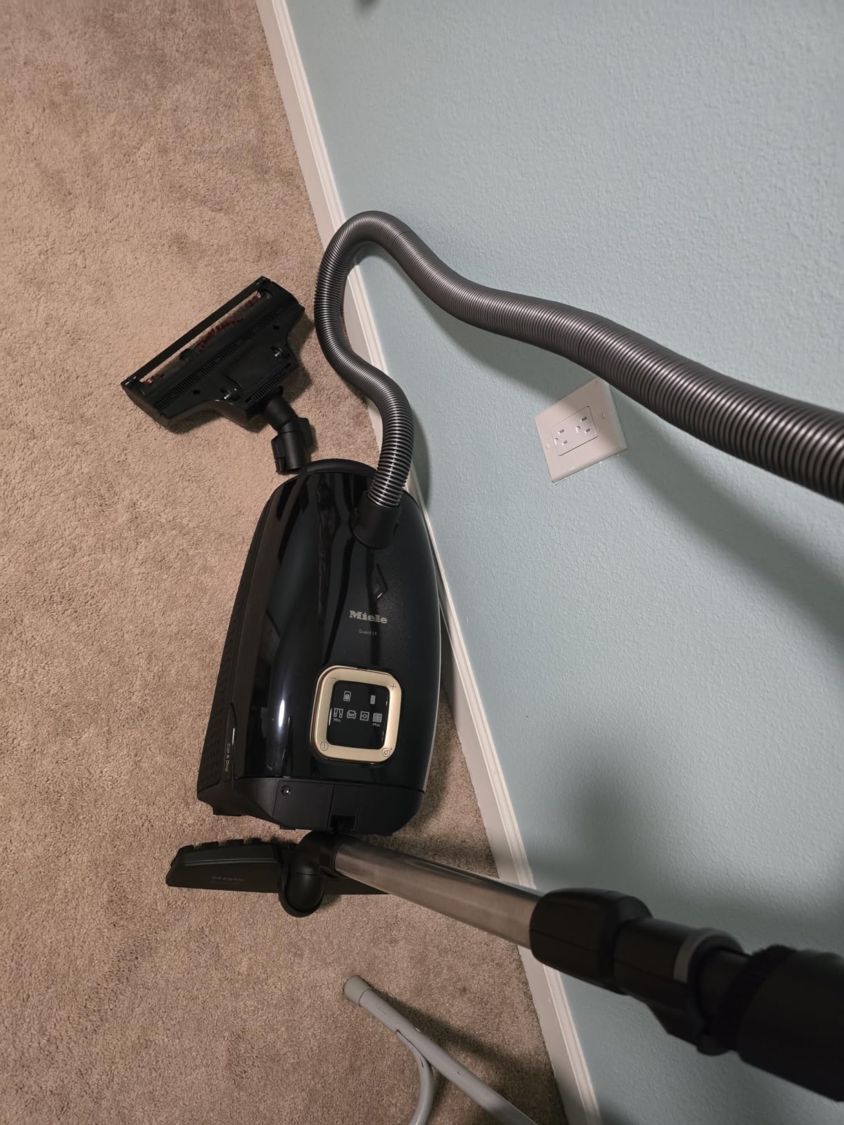 Miele Guard L1 Cat & Dog Bagged Canister Vacuum for Pet Owners, Obsidian Black/Rose Gold customer photo 1