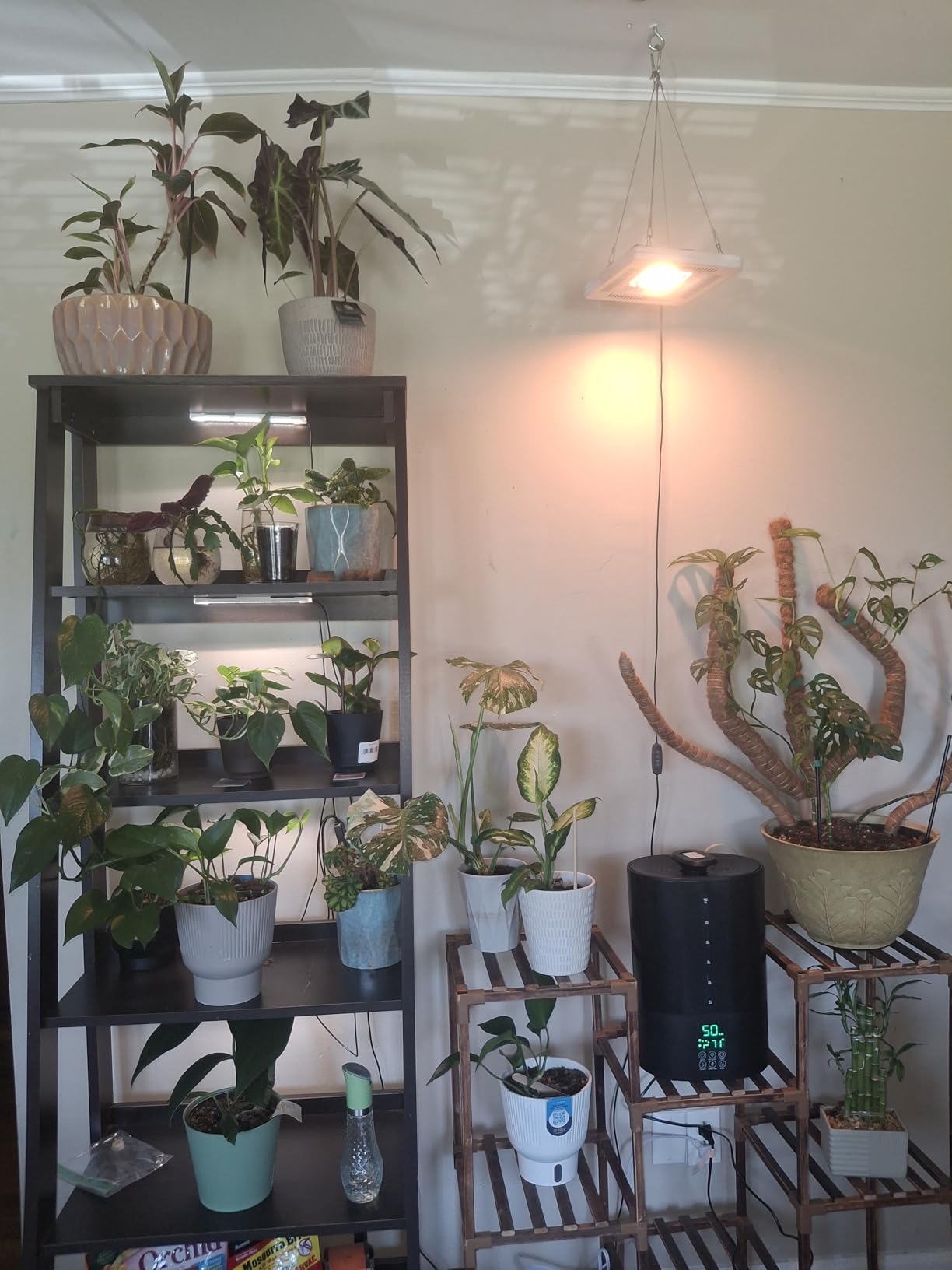 Coolfiqu 6L Humidifiers for Bedroom Large Room Home, Cool and Warm Humidifier for Baby and Plants Hot Mist Top Fill Desk Humidifier Oil Diffuser, Quiet, Auto Mode, 360° Nozzle - Midnight Black (2026 Upgraded) customer photo 1