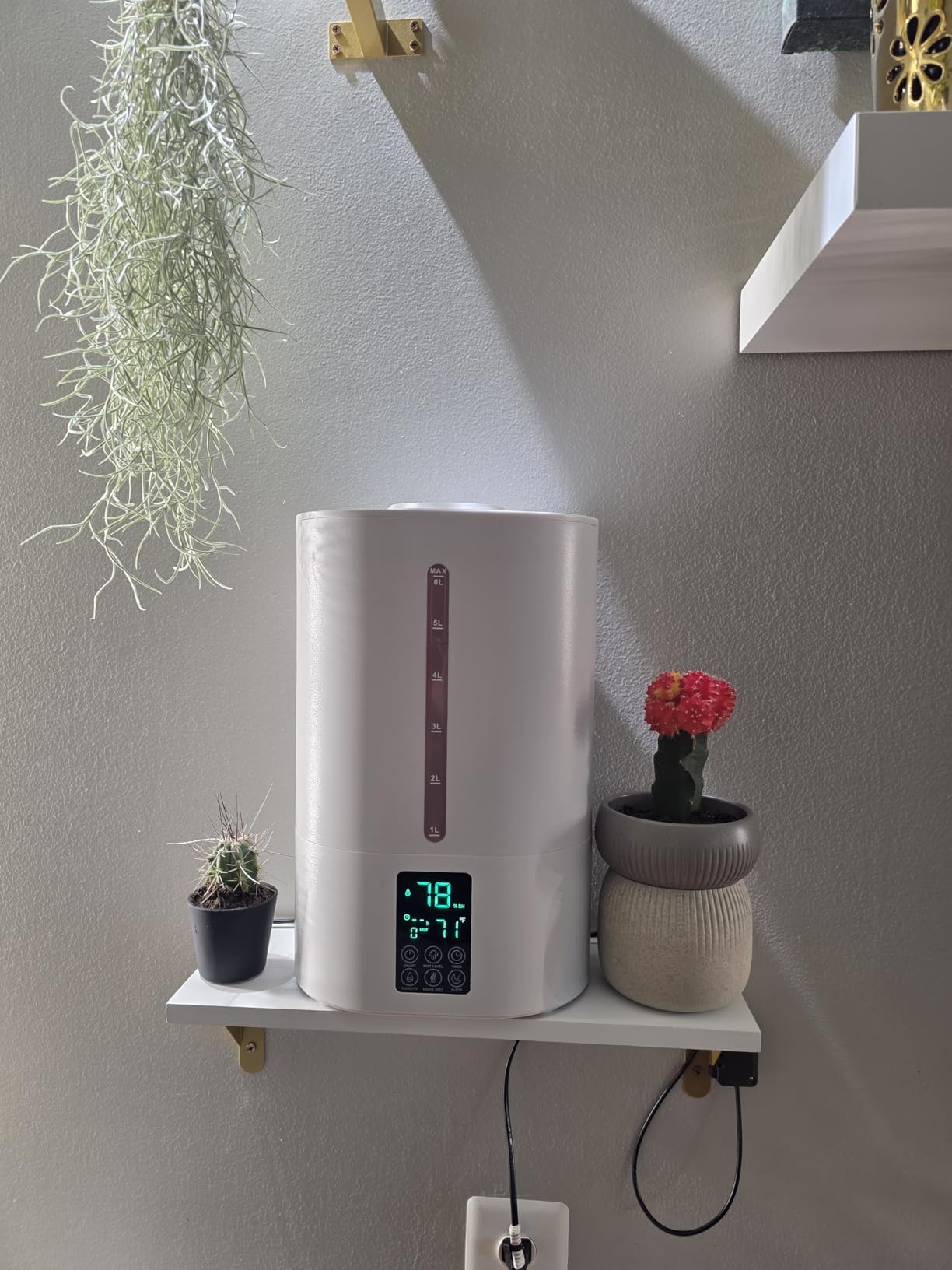 Coolfiqu 6L Humidifiers for Bedroom Large Room Home, Cool and Warm Humidifier for Baby and Plants Hot Mist Top Fill Desk Humidifier Oil Diffuser, Quiet, Auto Mode, 360° Nozzle - Midnight Black (2026 Upgraded) customer photo 2