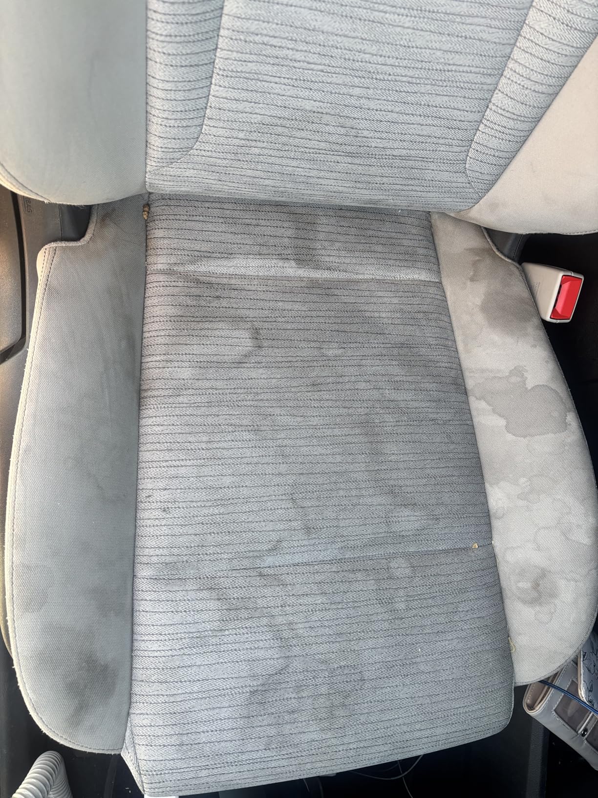 Carpet Cleaner Machine Upholstery - 450W Shampooer Couch Cleaning Portable Vacuum Rug Sofa Car Seat Fabric Mattress Pet Spot Extractor for Furniture Water Hand Held Scrubber Small Deep Washer customer photo 1