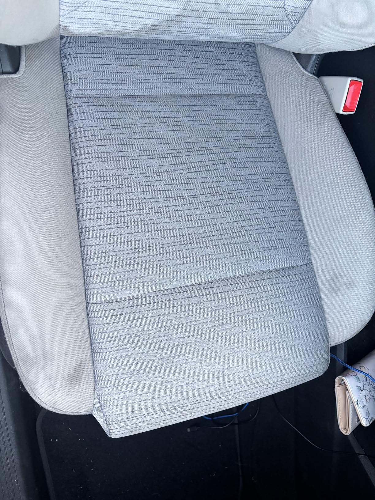 Carpet Cleaner Machine Upholstery - 450W Shampooer Couch Cleaning Portable Vacuum Rug Sofa Car Seat Fabric Mattress Pet Spot Extractor for Furniture Water Hand Held Scrubber Small Deep Washer customer photo 2